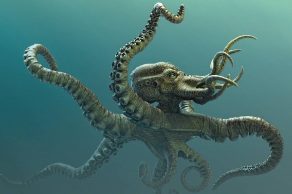 Kraken site