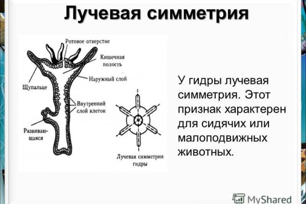 Сайт кракен тор браузера